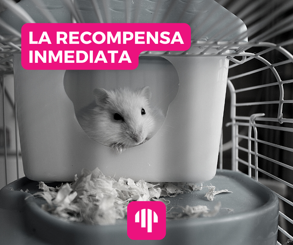 Los factores psicológicos de la inmediata Trading al dia